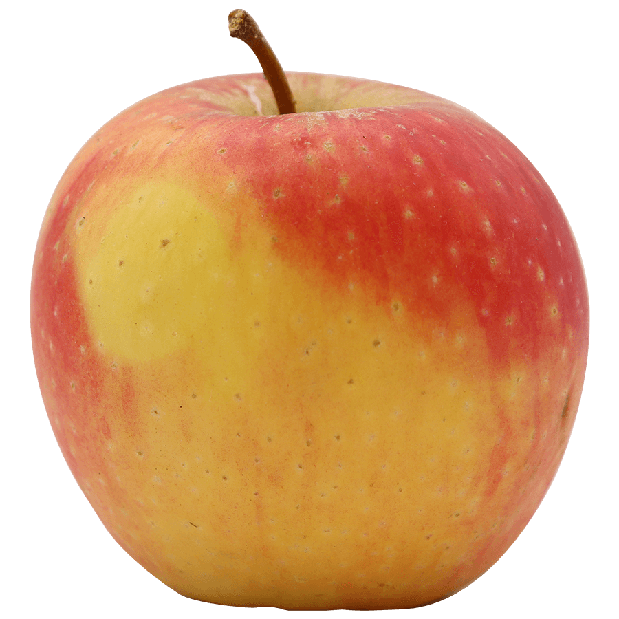 Pinova Apfel